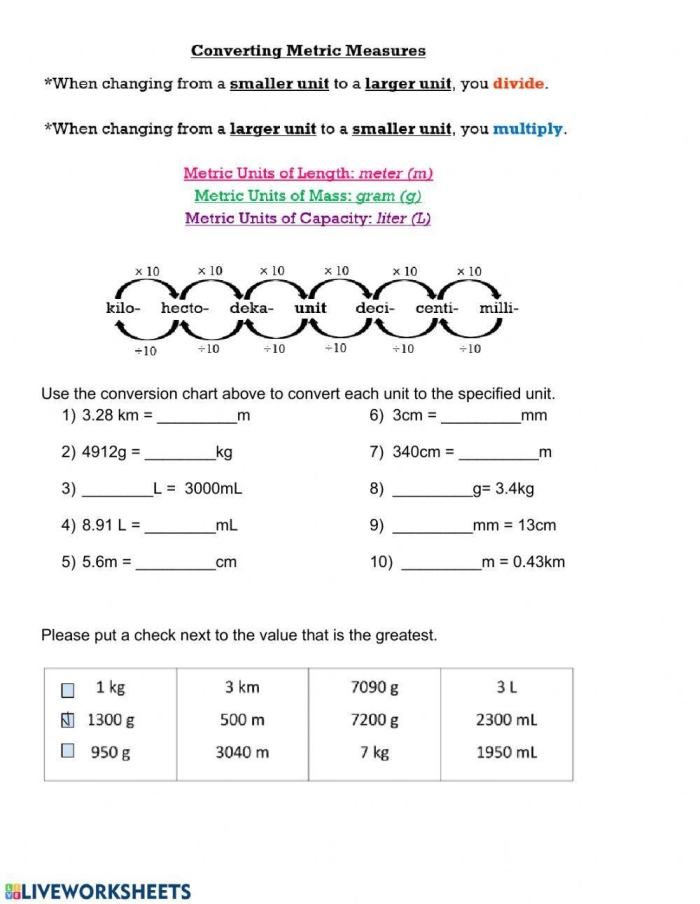 Unit Conversion Practice worksheet for fifth-grade algebra students featuring a metric conversion table
