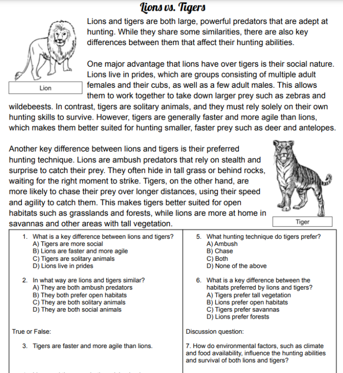 Fractions worksheet for Sixth Grade Compare and Contrast Information From Different Sources worksheet for Sixth Grade
