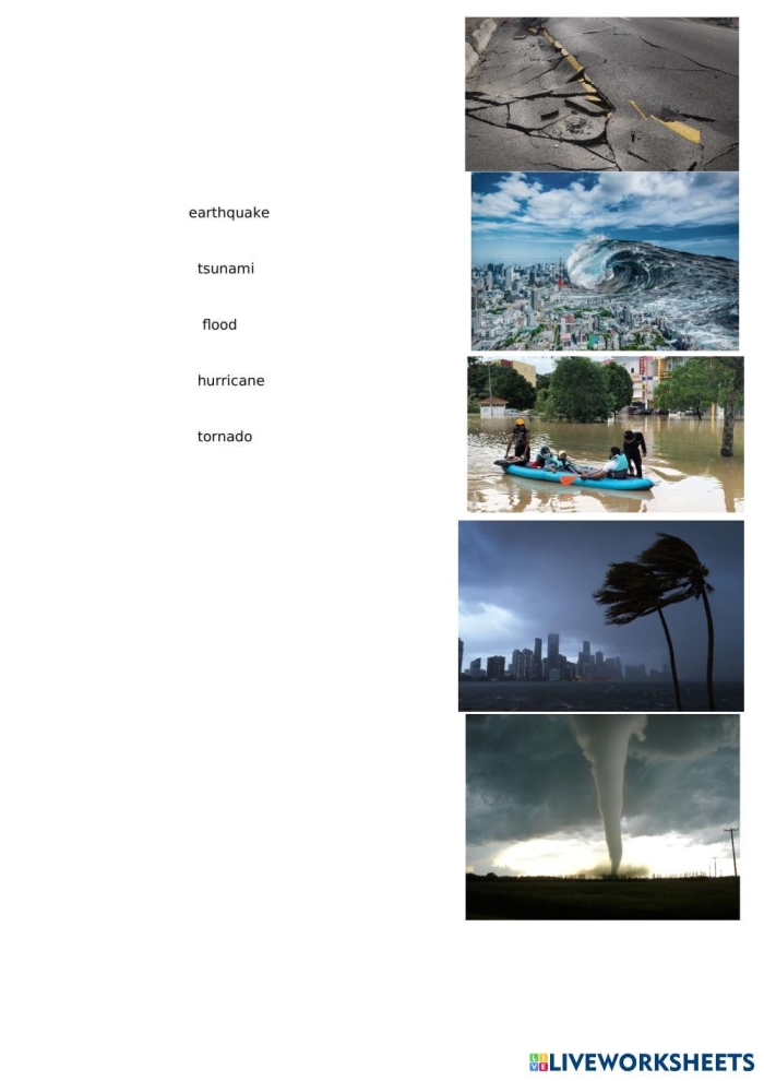 Educational science worksheet focusing on natural disaster terminology for third grade reading practice Third grade student working on a Master of Disaster vocabulary worksheet about natural phenomena