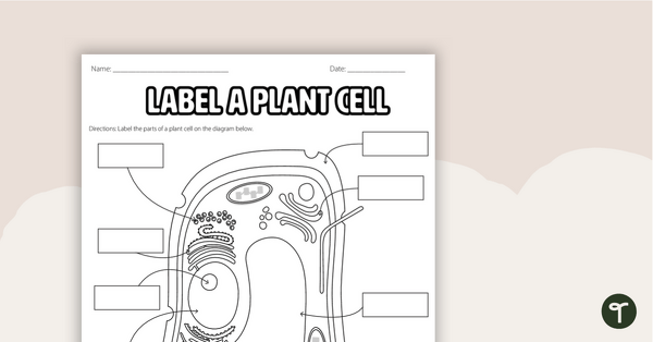 Sixth grade student labeling internal structures of a plant cell with blank lines for organelles and cell parts
