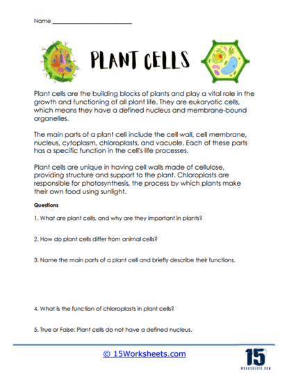 Sixth grade students practice identifying complex plant cell organelles in this biology worksheet