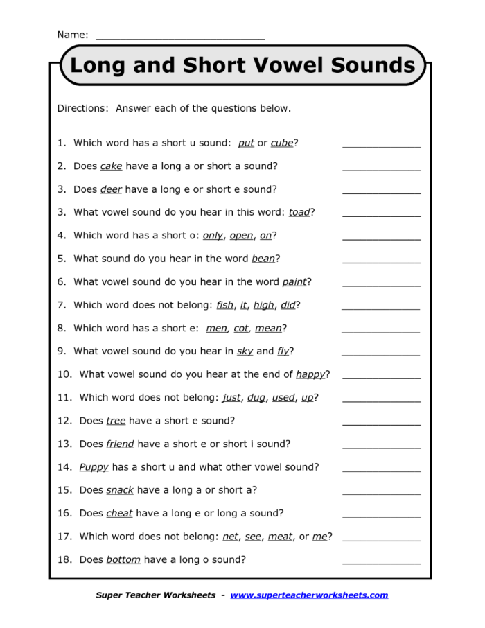 Short and Long Vowel Review worksheet for second graders focusing on vowel sound identification
