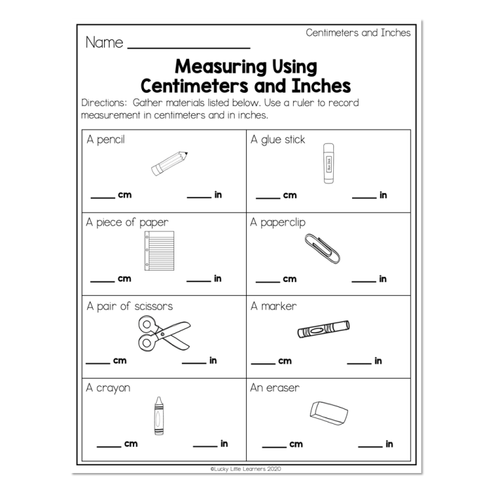 Worksheet for measuring in inches and centimeters with a paper ruler for second graders