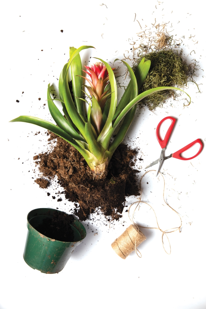 Fourth grade student worksheet featuring a liquid measuring cup diagram to practice volume conversions