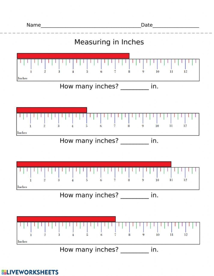 First grade math worksheet for practicing measuring various objects in inches