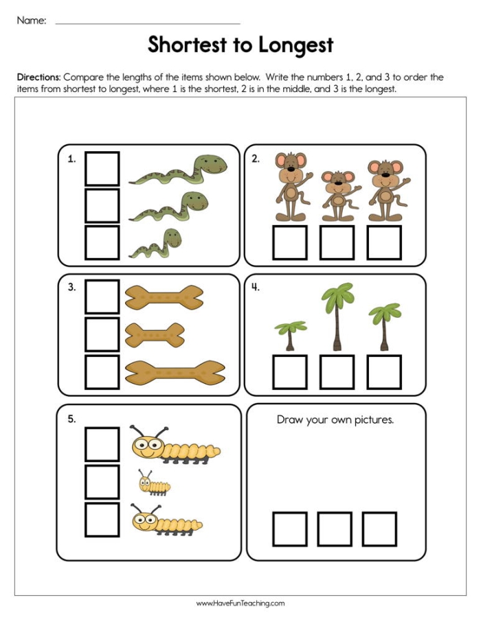 First grade students comparing and ordering objects from shortest to longest length