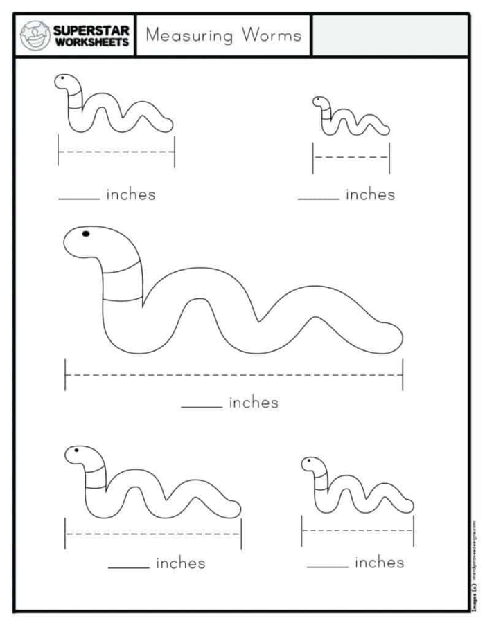 Measuring Worms: Fun Worksheet for Second Grade Learning An engaging worksheet for second graders focused on measuring worms in geography