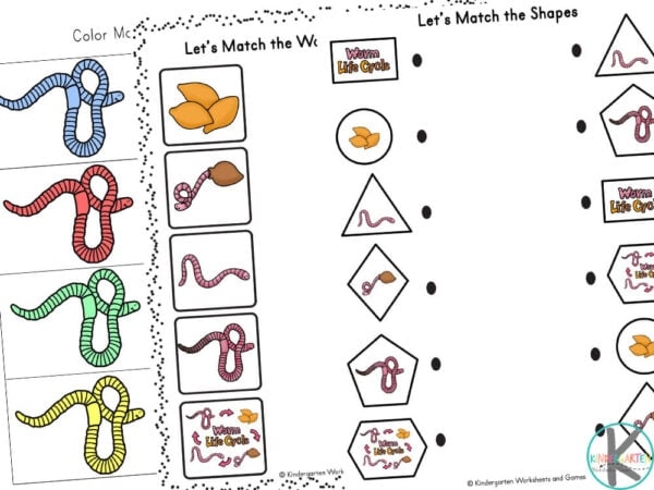 Engaging Measuring Worms Worksheet for Geography Class Colorful worms on a measuring worksheet designed for second graders
