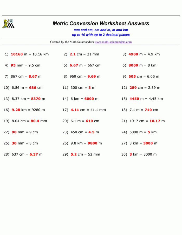 Metric Length Measurement worksheet with word problems for fifth graders