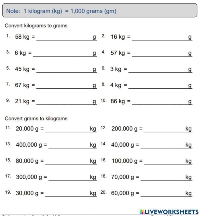 Metric Units of Mass Worksheet for Fifth Grade Lesson 25 Fifth grade students practicing converting metric mass measurements on a math worksheet
