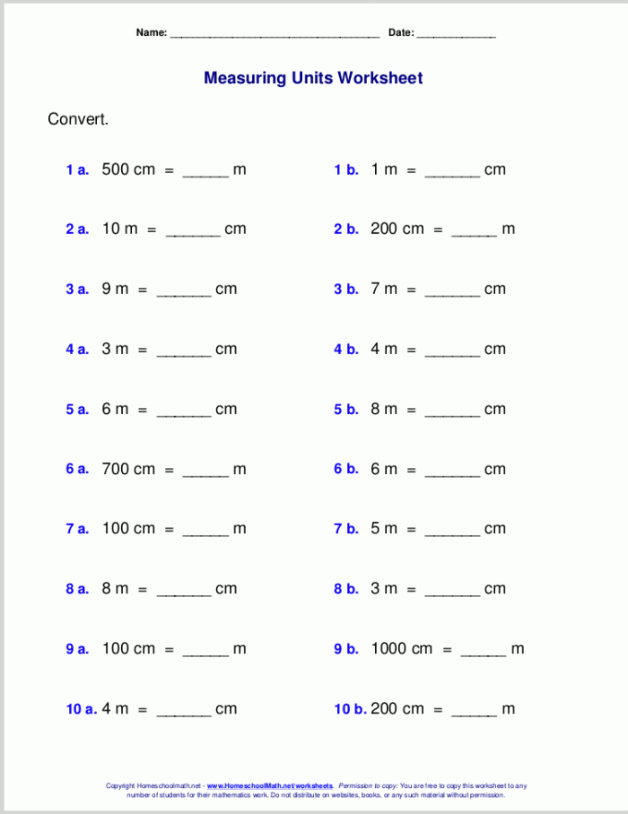 Metric Measurements Worksheet Number Twenty for Fifth Grade Math Fifth grade student completing a metric measurements worksheet on conversion