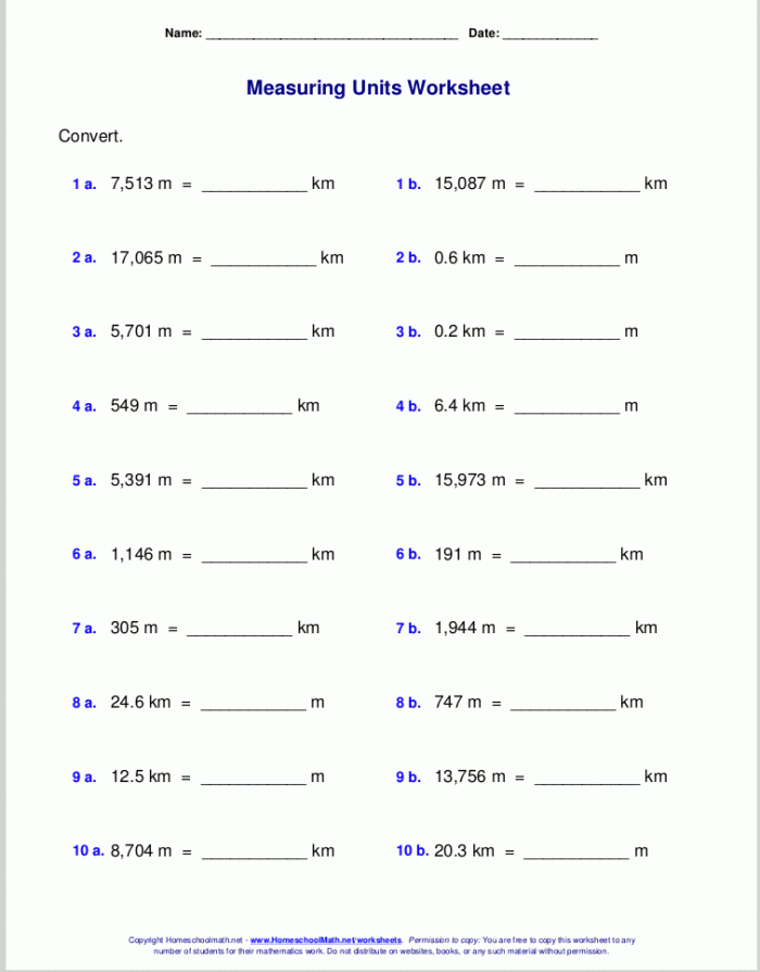 Engaging activity to test understanding of the metric system and conversions Metric Measurements worksheet for fifth graders focusing on time and money concepts