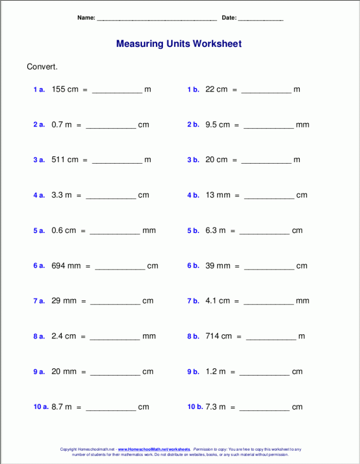 Metric Units Place Value Chart worksheet for fifth graders focusing on meters