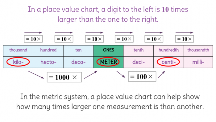 Metric Units Place Value Chart for Meters worksheet designed for fifth graders