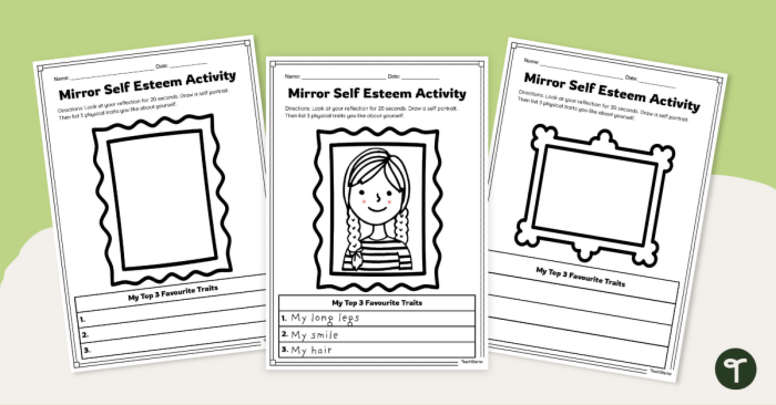 Reflection Prompt Mirror and Window Identity Activity Worksheet 24 Sixth grade student worksheet featuring a mirror and window identity reflection activity