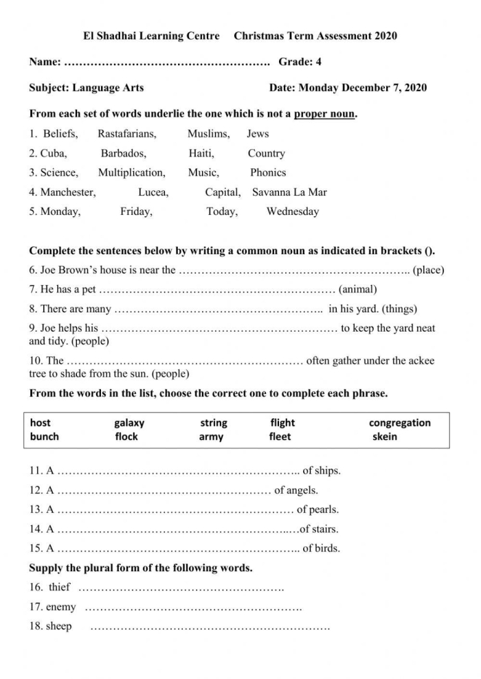 Fourth Grade Language Arts Assessment: Let's Soar Worksheet Image 2 Students engaging with the Grade 4 Mixed Review Language Arts Assessment worksheet