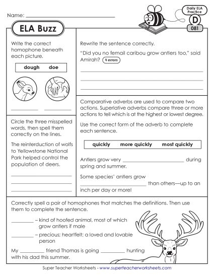 Title image for Grade 4 Language Arts Assessment: Let's Soar worksheet, number 16 Worksheet showcasing a Mixed Review Language Arts Assessment for fourth graders focusing on diverse problems