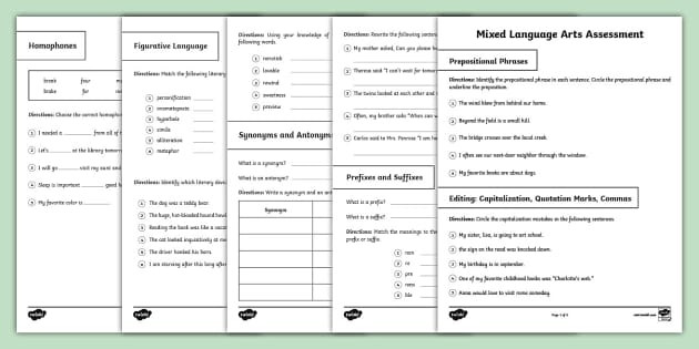 Mixed Review Language Arts Assessment: Let's Soar in Grade 4 worksheet image 5 Worksheet for fourth graders assessing language arts skills across various topics