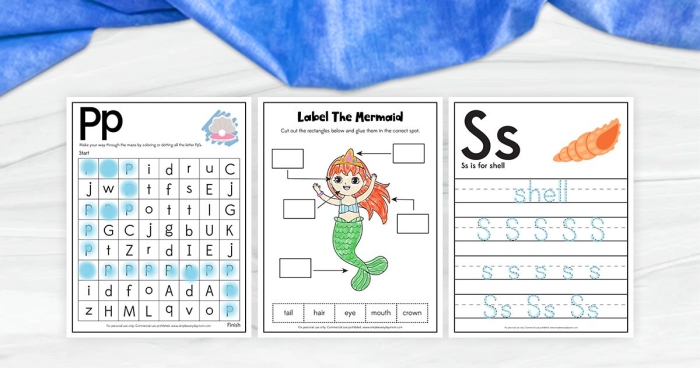Third grade reading comprehension worksheet about the marine life and coastal geography of Monterey California