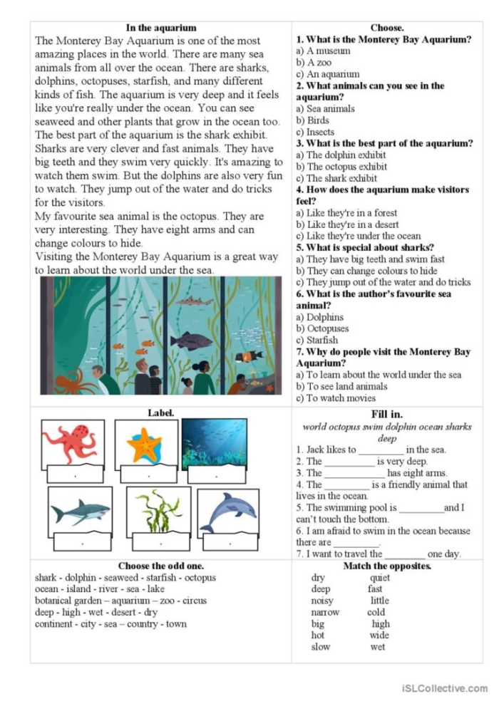 Third grade reading comprehension worksheet about Monterey sea life and grammar skills