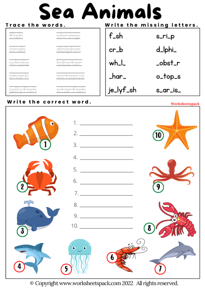 Third-grade reading comprehension worksheet featuring Monterey's sea life