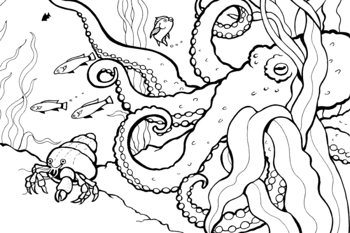 A third-grade reading comprehension worksheet about sea life in Monterey California