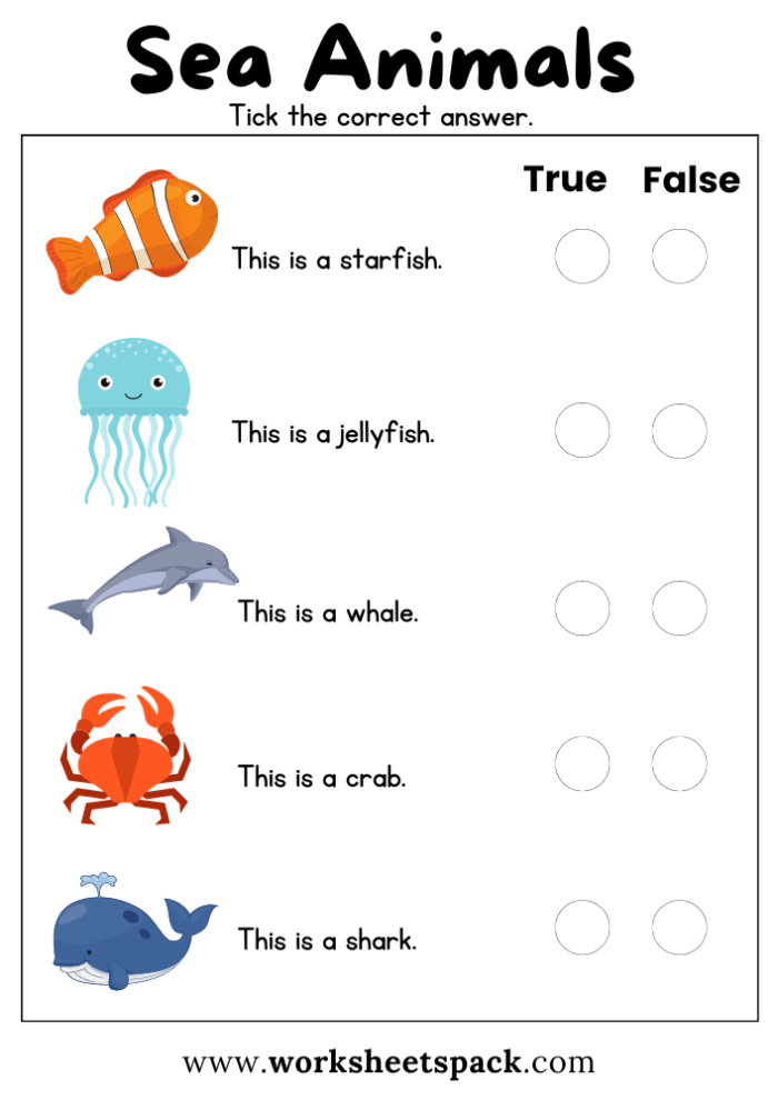 Worksheet showcasing Monterey's marine life for third graders