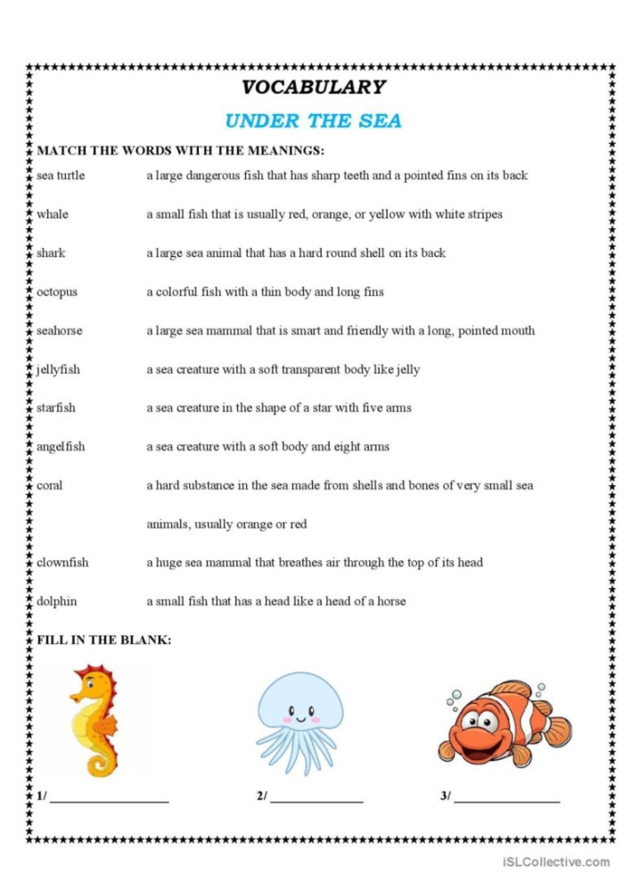 A colorful reading comprehension worksheet about Monterey sea life for third grade students