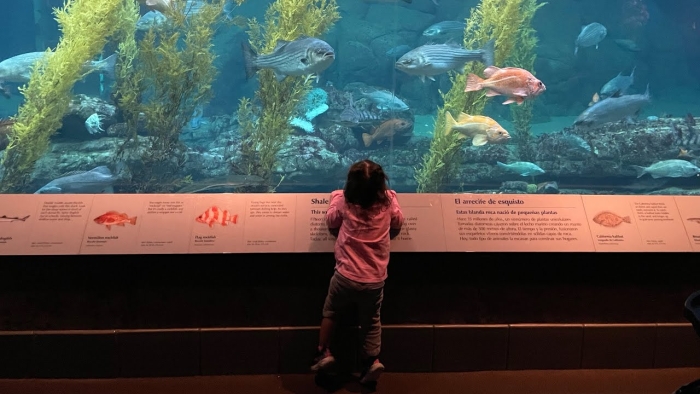 Monterey California sea life worksheet for third graders focusing on reading comprehension