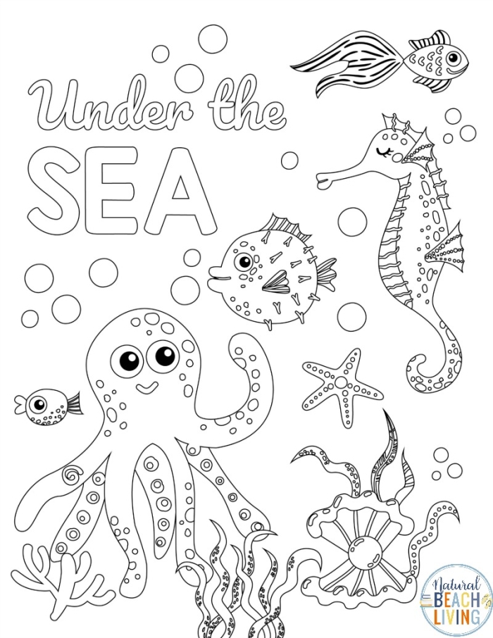 Monterey worksheet for third graders focusing on sea life comprehension