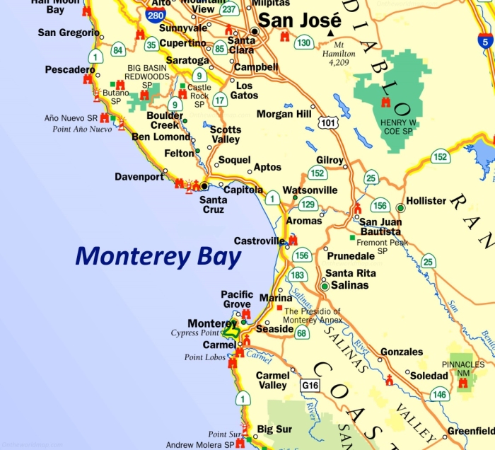 Third grade reading comprehension worksheet about Monterey sea life and grammar practice