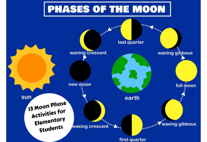 Diagram showing the three main phases of the moon including new moon quarter moon and full moon for third grade students