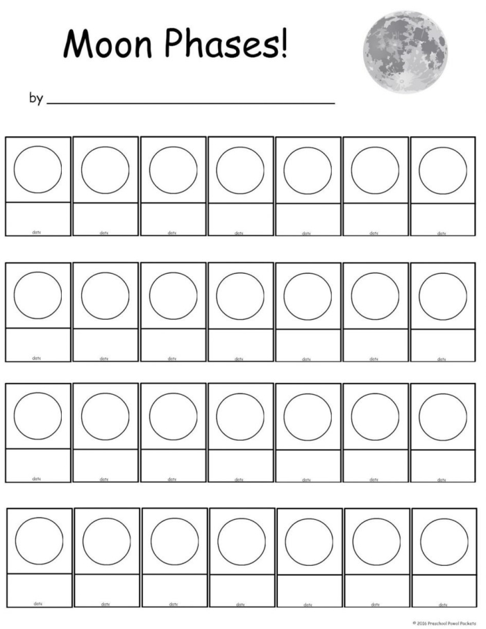 Moon phases worksheet illustrating the lunar cycles for third graders