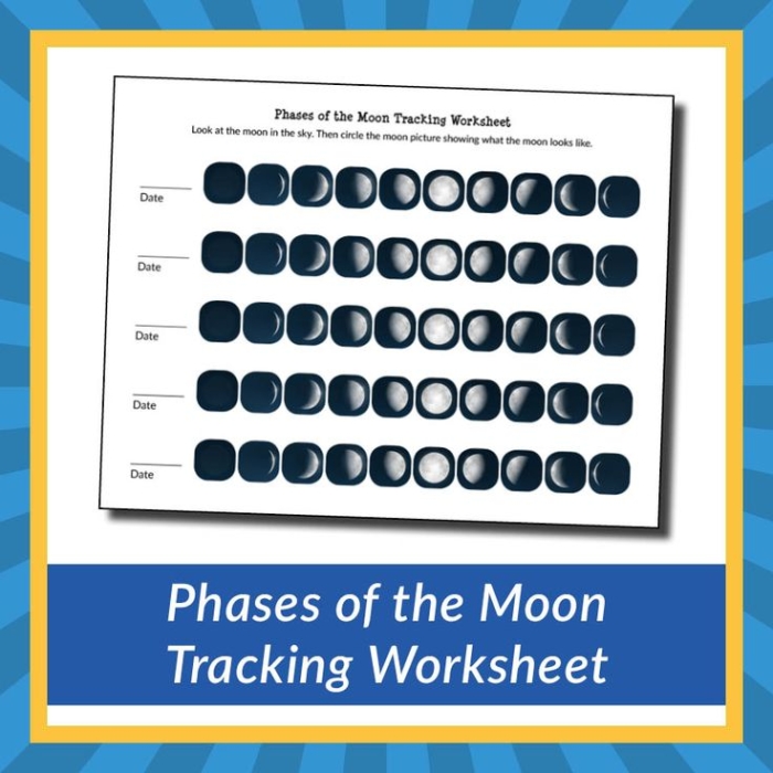 Moon phases drawing exercise for elementary earth sciences learning worksheet Third grade students drawing moon phases for fractions worksheet activity 25