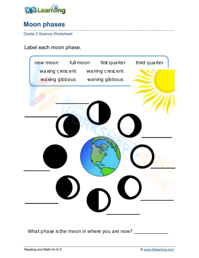 Identifying the Moon's Phases Worksheet Activity Five Third grade student practicing the lunar cycle by drawing moon shapes in this identifying the moon's phases worksheet