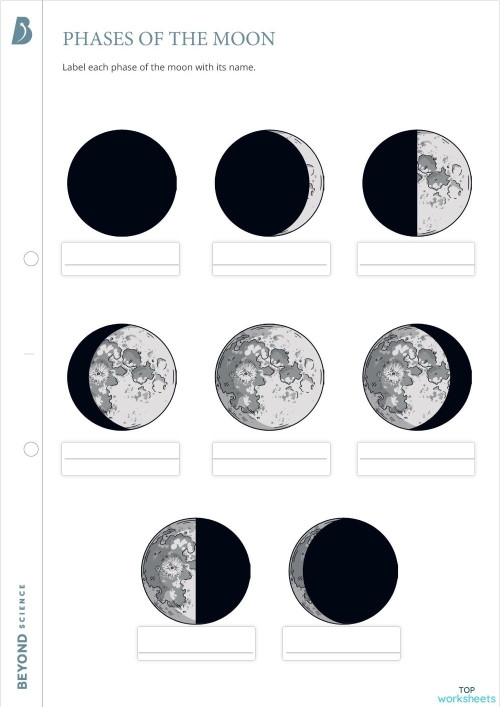 Moon Phases Drawing Activity for Elementary Fractions Worksheet 19 Third grade students drawing moon phases to learn about fractions and earth science concepts