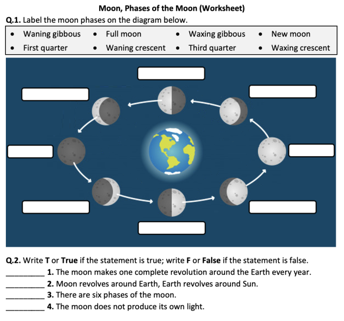Moon Phases Drawing Exercise for Elementary Earth Sciences Learning Third grade students drawing moon phases for fractions worksheet activity