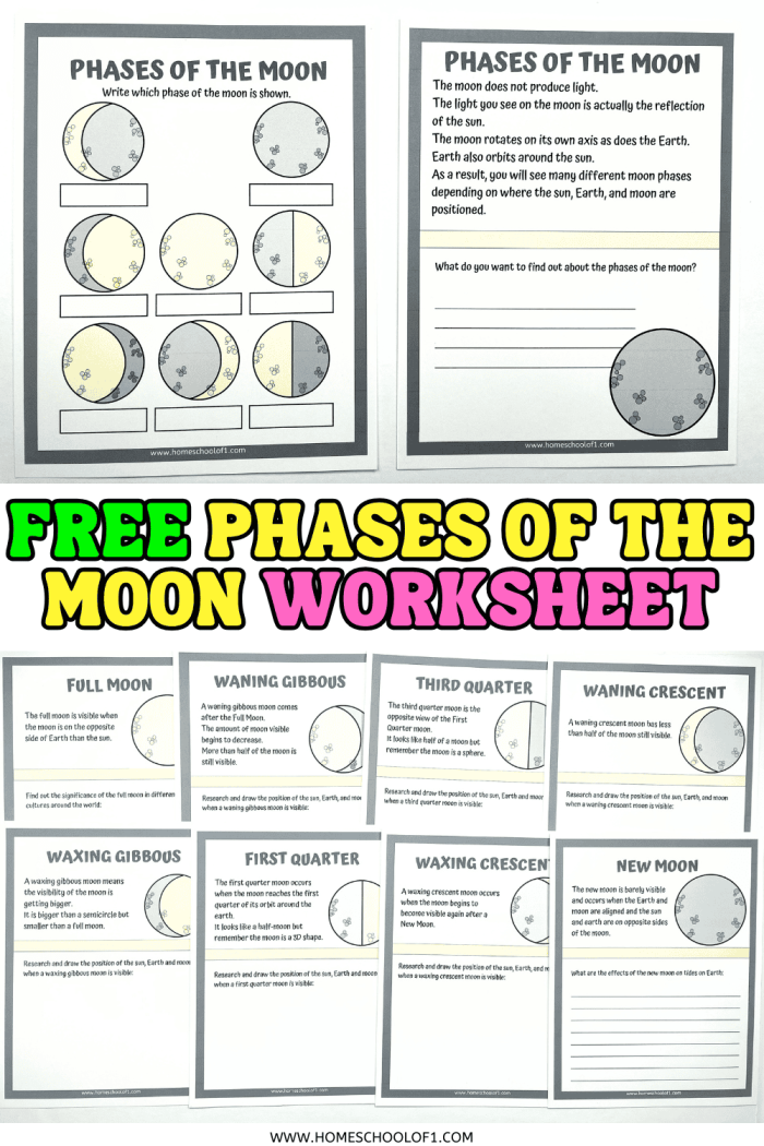 Moon phases worksheet for third graders illustrating lunar cycles
