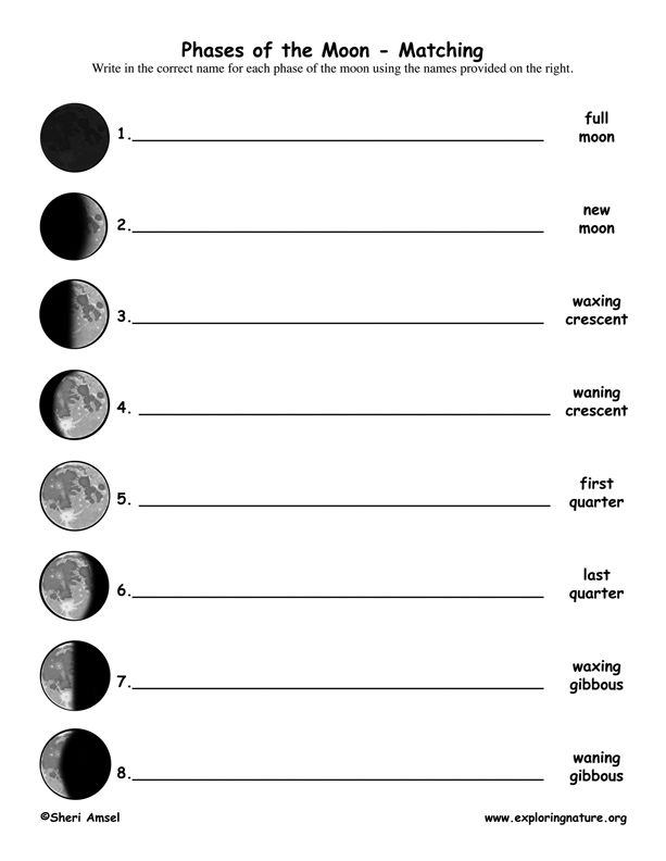 Moon phases worksheet designed for third graders to understand lunar cycles