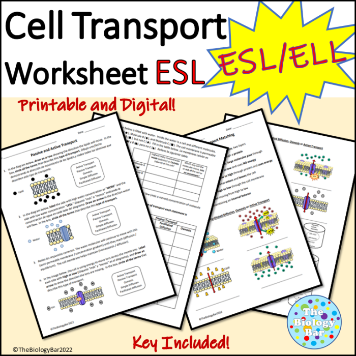 Worksheet featuring the More Concentratium! memory game with additional elements from the periodic table