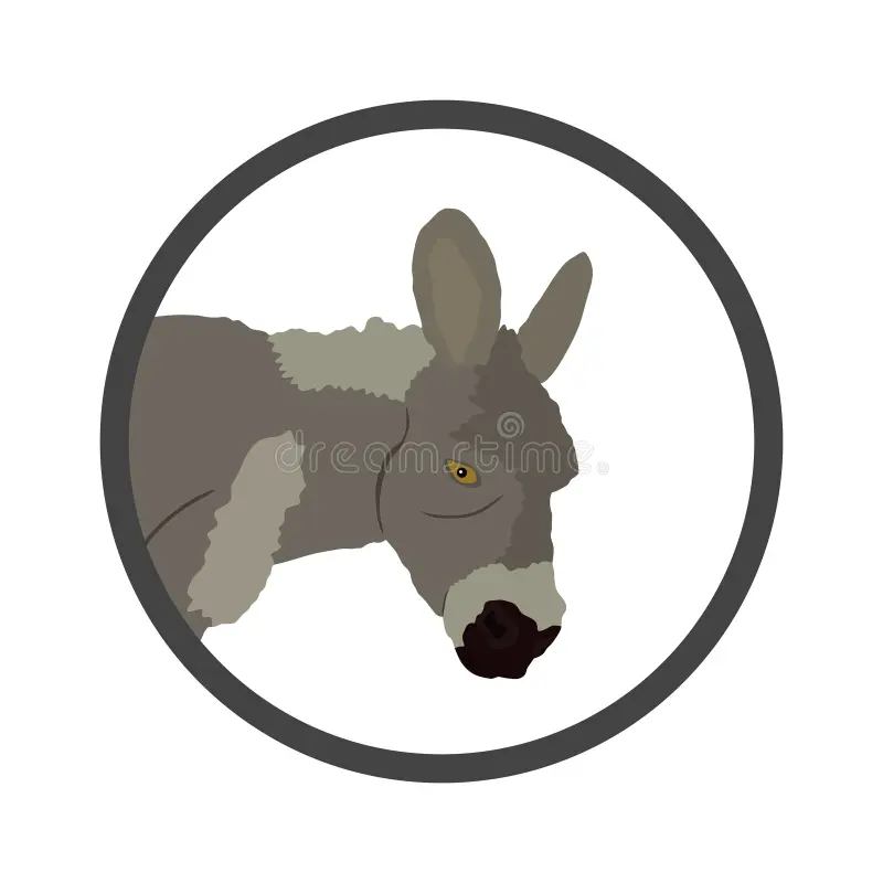 Second grade math worksheet featuring a mule facts crossword and multiplication practice