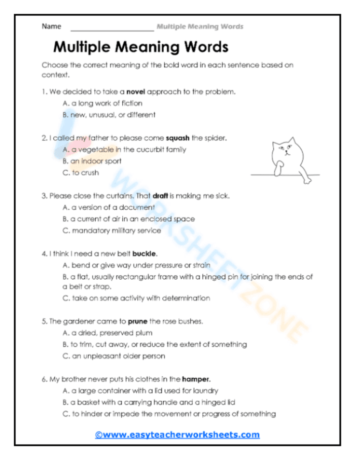 Multiple choice exercise on homographs for vocabulary practice Worksheet featuring multiple meaning words for third graders