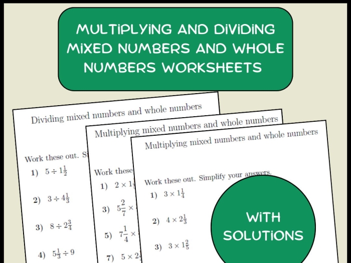 Fifth grade math worksheet showing mixed number multiplication problems with whole numbers for practice