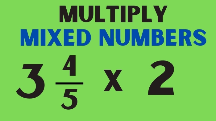 Multiplying Mixed Numbers by Whole Numbers worksheet for Fifth Grade