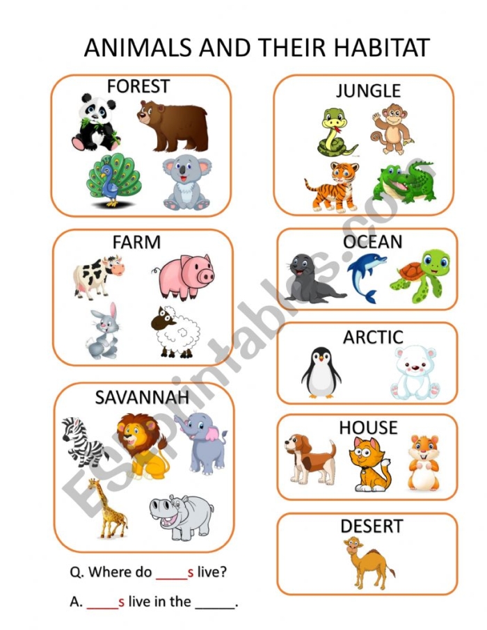 Engaging visual for the My Animal Habitat worksheet designed for Pre-K learners Colorful illustration of various animals and plants found in different habitats for the My Animal Habitat worksheet