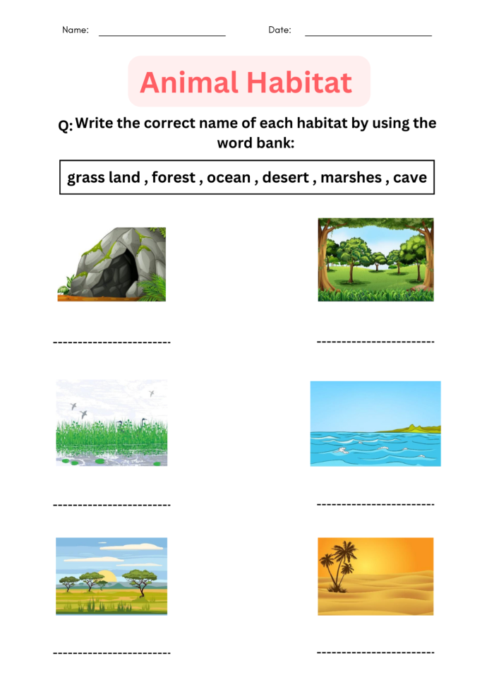 My Animal Habitat Worksheet for Pre-K Students Colorful illustration of various animals and plants in diverse habitats for preschool learners
