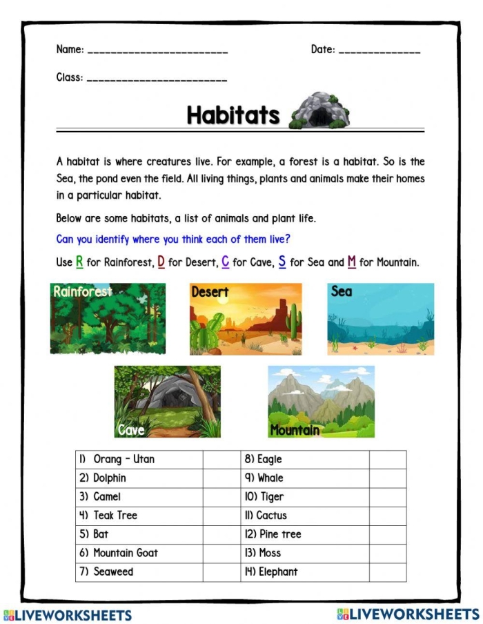 Engaging worksheet illustration showcasing global habitats for early childhood education Colorful My Animal Habitat worksheet for Pre-K learners exploring various plants and animals in different environments