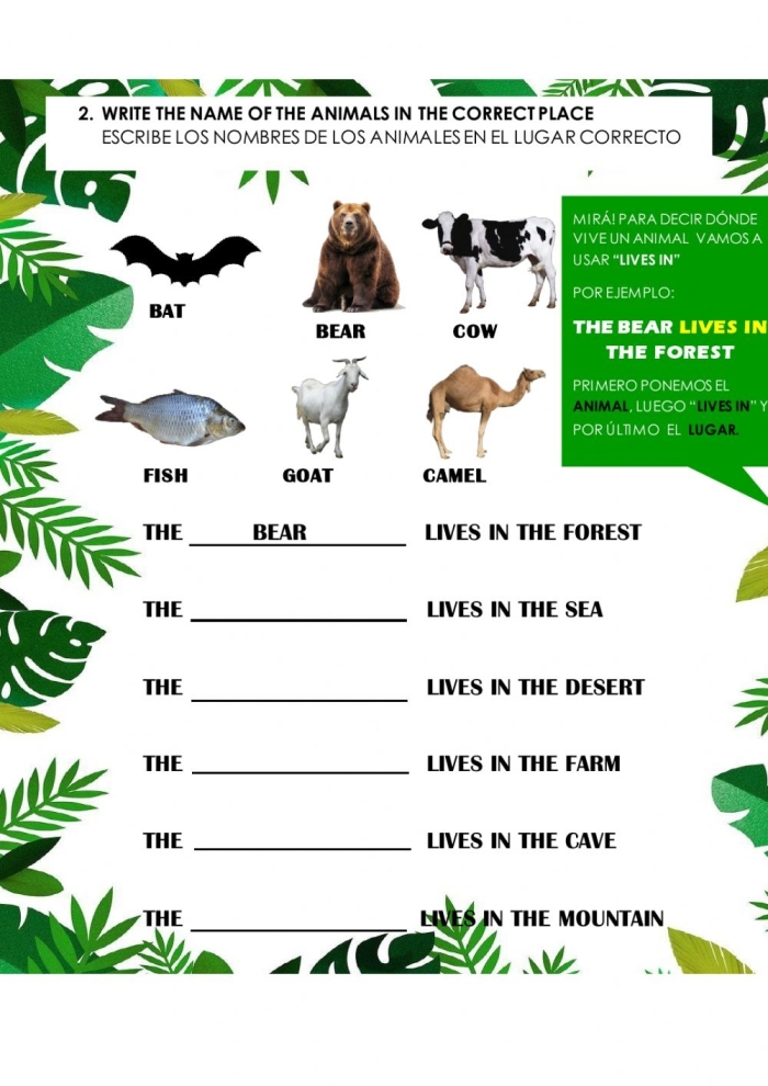 Life Science worksheet for Pre-K Colorful My Animal Habitat worksheet for Pre-K students exploring various plants and animals. Engaging life science activity for young learners on global habitats.