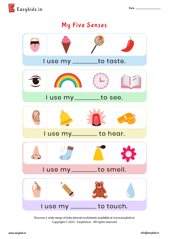 Pre-K student worksheet showing illustrations to help children match each of the five senses to the correct objects