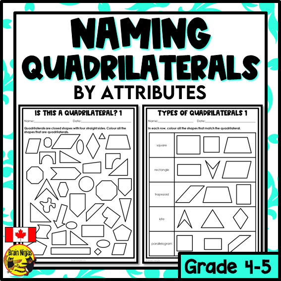 Third grade geometry worksheet focused on identifying and naming different types of quadrilaterals